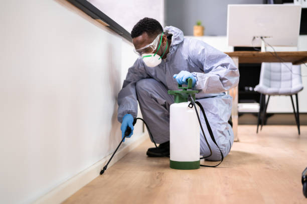 Emergency Pest Control Services in Lucerne, CA